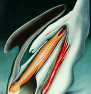 LUMBRERA